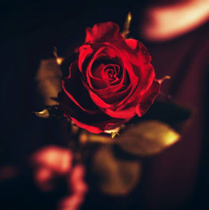 Meet your Posher, Imane